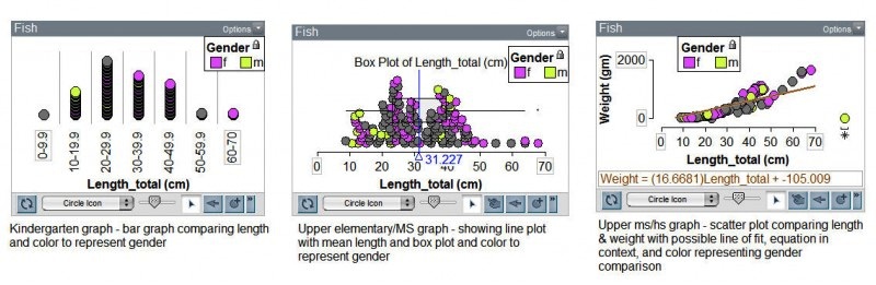 Fish Data Graphs